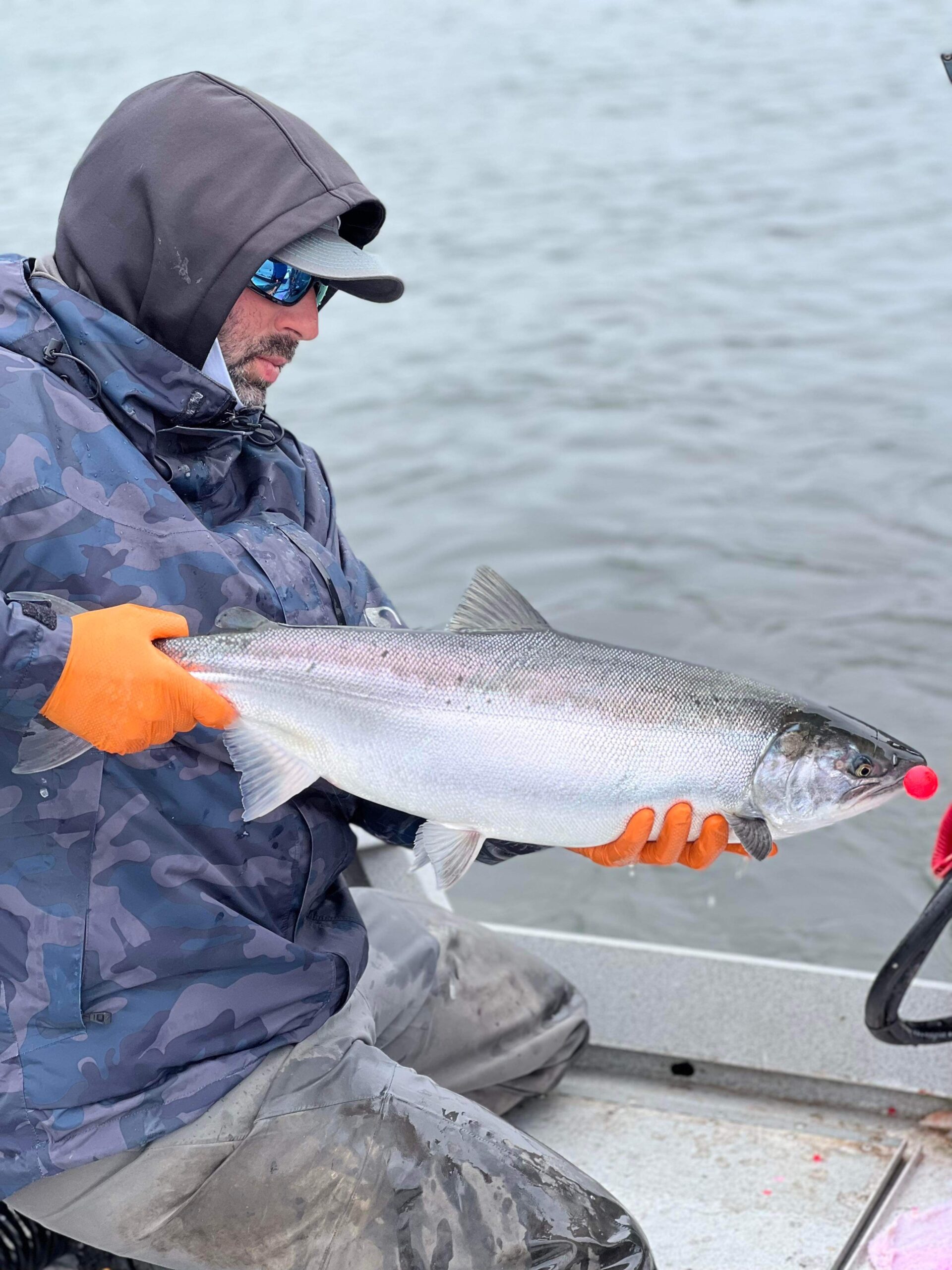 Kenai River Fishing In August