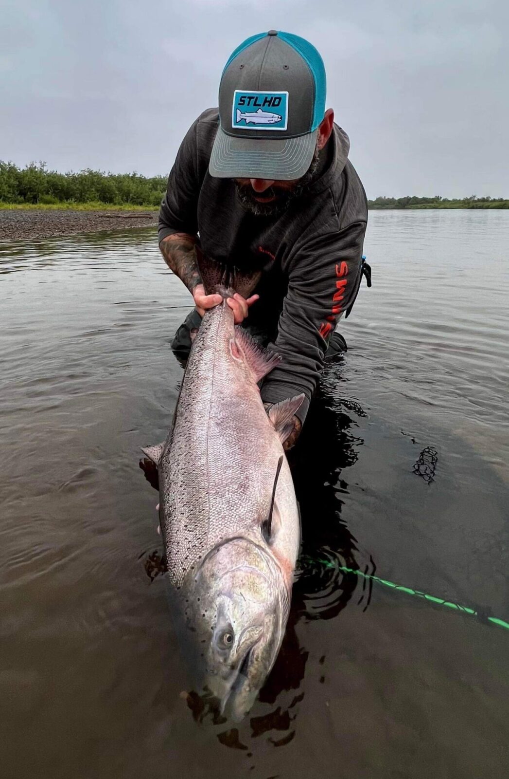 a picture of a Kenai River King salmon from a guide kenai river fishing trip
