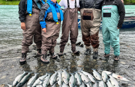 Clients of RiverRise Fishing Guides with limits of Sockeye Salmon on a recent fishing trip