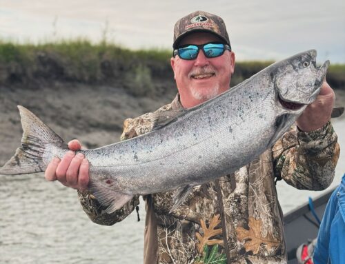 When to Fish The Kenai River