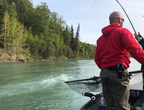 Can You Fish The Kenai River Without A Guide?