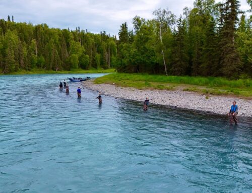 Why Hiring a Kasilof River Fishing Guide is Essential for Your Adventure