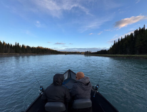 Bucket List of Things to Do on the Kenai Peninsula