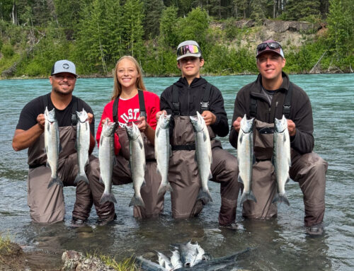 Family Friendly Fishing Ideas For The Kenai River