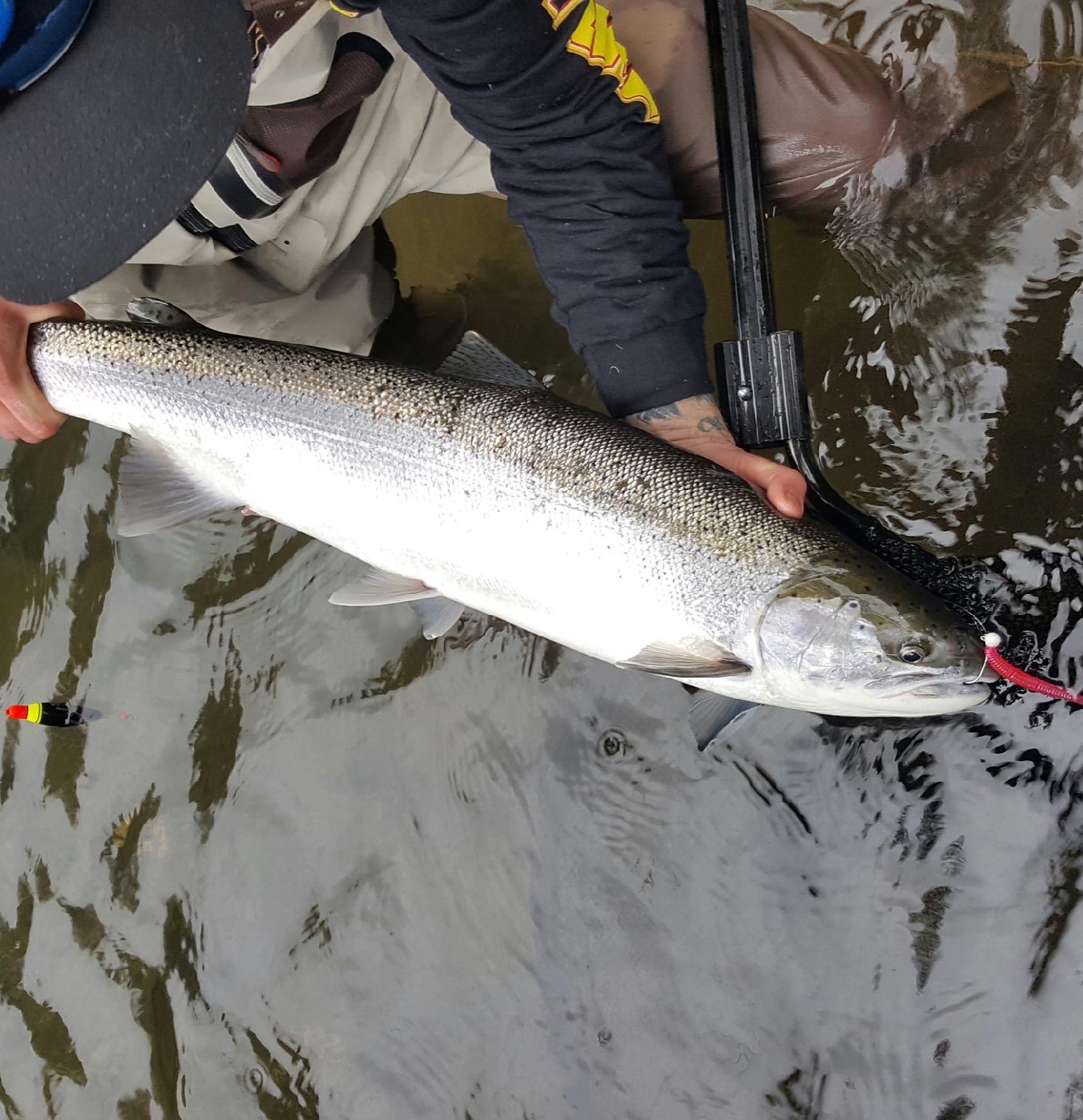 Kenai River Fishing Guide