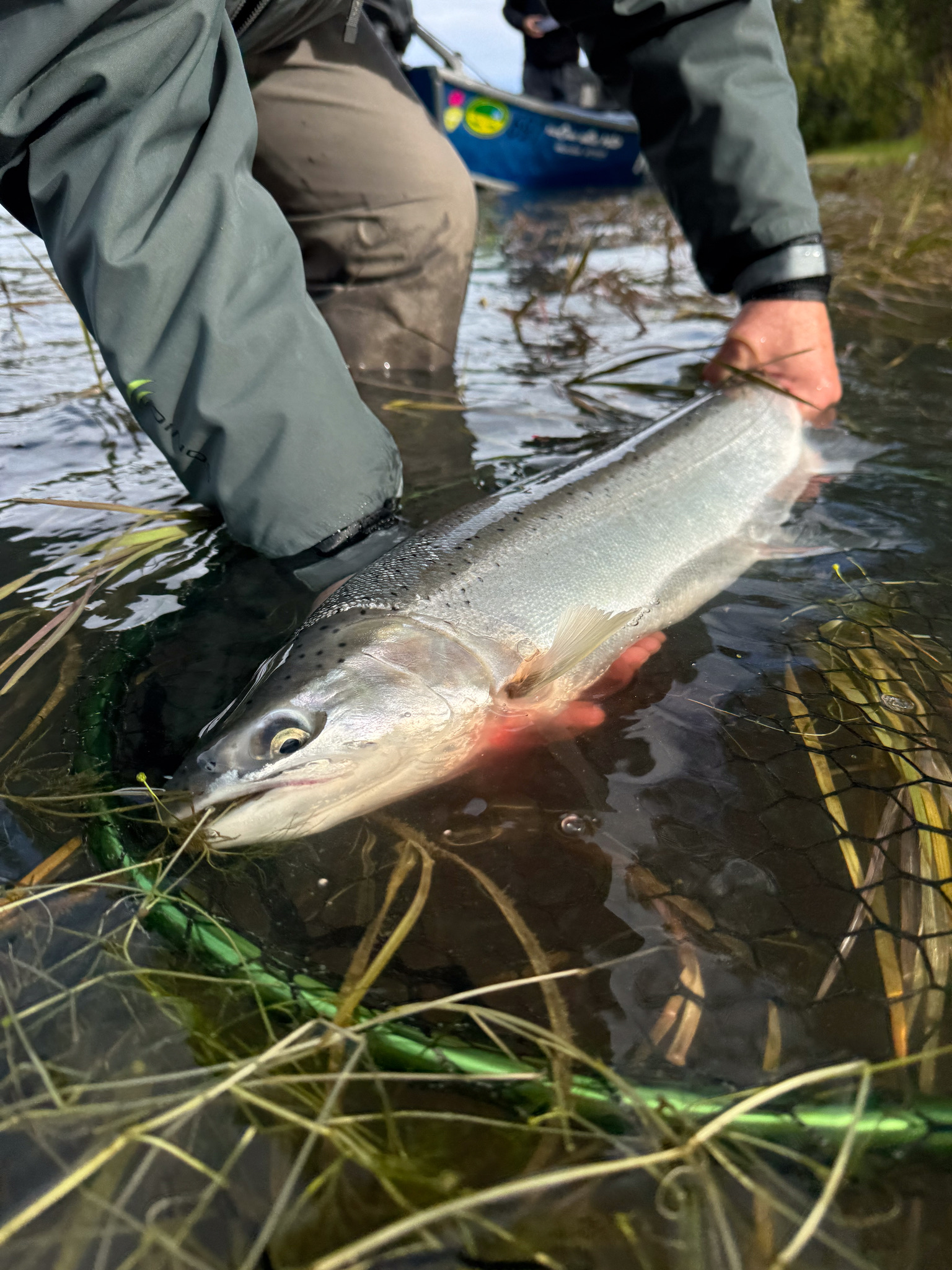 Kenai River Fishing Guide