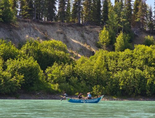 Tips & Tricks for Fly Fishing the Kenai River