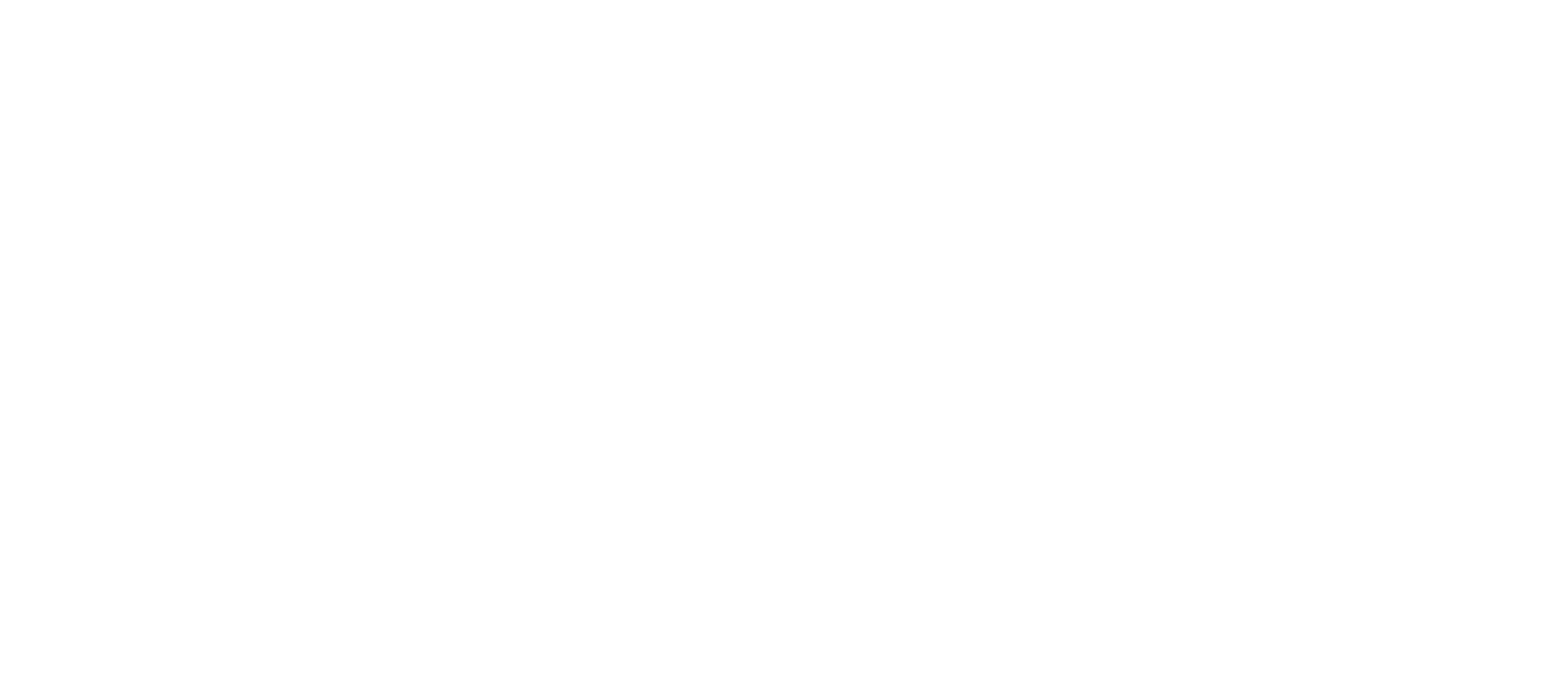 RiverRise Fishing Guides Logo