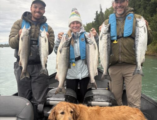 Kenai & Kasilof Fishing Report — August 28, 2026