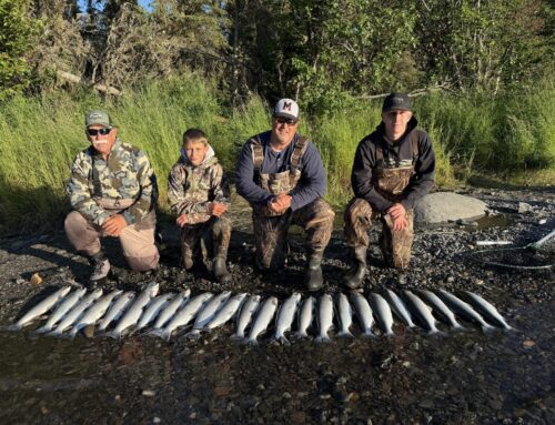 Kenai & Kasilof Fishing Report — August 2, 2026